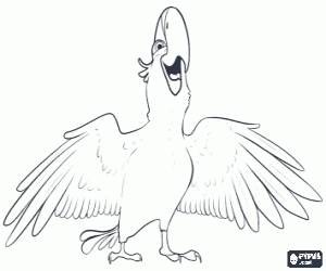 Omalovánka Papoušek Blu filmu Rio