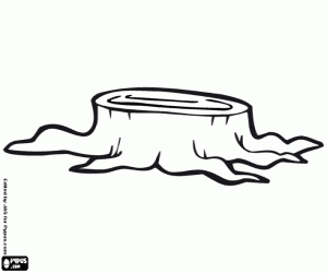 Omalovánka Pařez. Pahýl stromu. Strom pokácené