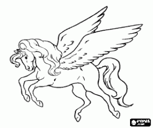 Omalovánka Pegasus, okřídlený kůň