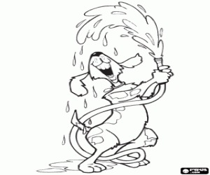 Omalovánka Pes hraje s vodou