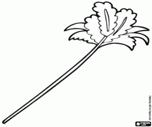 Omalovánka Peří prachovka hrát s kočkou