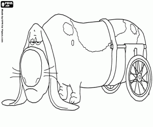 Omalovánka Pop je starší pes