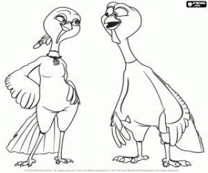 Omalovánka Pár krůt Jenny a Reggie