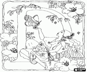 Omalovánka Písmeno D v zahradě víla