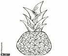 Ananas, tropické ovoce