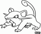 Rattata - Pokémon Normální typ, rychlý útok krys