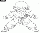Krillin je prvním oponentem Son Goku výcviku u mistra Roshi a stává se jeho nejlepším přítelem