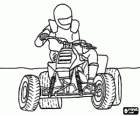 ATV Quad, Čtyřkolka s chráněným pilot s regulačními helmu