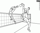 Sepak takraw hry, sport rodák do jihovýchodní Asie, jako je footvolley