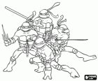 Čtyři Ninja Turtles: Leonardo, Michelangelo, Donatello a Raphael. Želvy Ninja, TMNT