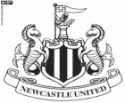 Emblém Newcastle United FC, fotbalový tým Anglie