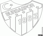 Logo Bursaspor, turecký fotbalový klub