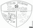 Logo The New Saints FC FC, velšský fotbalový klub