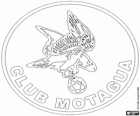 Odznak CD Motagua. Fotbalový klub z Tegucigalpa, Honduras