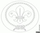 Emblém Světové organizace skautského hnutí. Logo WOSM. Fleur de lis, lilie obklopen s kusem provazu svázané