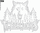 Minnesota Timberwolves logo, NBA tým. Severozápadní Divize, Západní konference