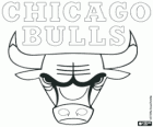 Logo Chicago Bulls, NBA tým. Centrální Divize, Východní konference