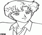 Atraktivní Darien nebo Mamoru Chiba, jeden z protagonistů Sailor Moon