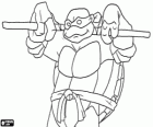 Donatello, zbraně této želvy ninja je japonský hůl dlouhá Bo