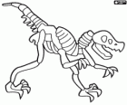 Dinosaur Skeleton