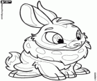 Cybunny, krásné králíček z doplněk Neopets