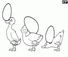 Tři káčátek hrát s třemi vejci