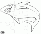 Žralok puzzle. Ryby hlavolam