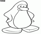 Tučňák z Club Penguin, virtuální svět hry a aktivity