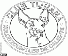 Logo klubu Tijuana Xoloitzcuintles de Caliente, Xolos de Tijuana. Mexická fotbalová reprezentace