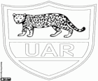 Logo Argentina národní rugby tým, los pumas. Znak, jaguar