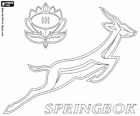 Logo Jižní Afrika národní rugby tým, springboks. Znak, Antilopa skákavá a protea