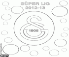 Galatasaray, mistr Super Lig 2012-2013, Turecko fotbalové ligy