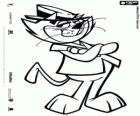 Top Cat, vůdce skupiny toulavých koček
