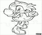Amy Rose, přítelkyně Sonic puzzle