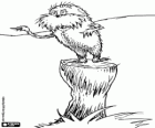 Podivný tvor lesa, Lorax