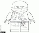 Ninja bojovník, Lego Ninjago