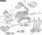 SpongeBob a Patrick Star a lov medúzy