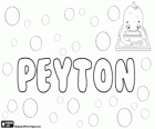 Peyton, jméno anglického původu. Peyton, varianta Payton
