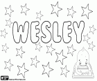 Wesley, jméno anglického původu, s různým původem. Krátká forma jména Wesleydale