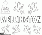 Wellington, jméno anglického původu pro chlapce. Wellington, varianta Welington