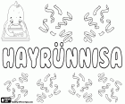 Hayrünnisa, jméno pro děvče v Turecku. Hayrünnisa, varianta arabské jméno Khairunnisa nebo Khair al-Nisa. Jeho význam je Dáma míru