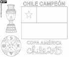 Národní tým Chile byl vyhlášen vítěz Copa America roku 2015. utkání a navíc čas skončil 0-0 na výsledkové tabuli. Chile porazili Argentinu národní tým v penaltovém rozstřelu