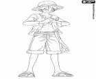 Kapitán Monkey D. Luffy s kloboukem slavné slámy na jeho hlavu v One Piece New World