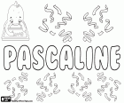 Pascaline, francouzský název pro dívky. Pascaline, varianta Pascale, ženského Pascal. Všechny tyto jsou názvy odvozené od latinského Paschalis, což znamená Pesach, související s Velikonocemi