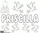 Priscilla, varianta Pryscylla, Priscila a Priscille. Priscilla, jméno pro děvče Latinské původu. Priscilla, biblické jméno, charakter nového zákona