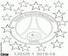 PSG, Paris Saint Germain FC, mistr Ligue 1 2015-2016, první rozdělení francouzské fotbalové ligy