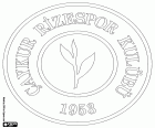 Logo Çaykur Rizespor Kulübü, Çaykur Rize Spor Kulübü, sportovní klub Rize, pobřežní město v východní černomořské oblasti a provincie homonymum