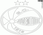 Logo z Esporte Clube Juventude, fotbalový klub z Caxias do Sul, město státu Rio Grande do Sul, v jižní části Brazílie