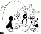 Tučňák Pingu a jeho přátelé poblíž iglú