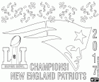 New England Patriots vyhráli své páté Super Bowl. Je také pátý titul pro hlavní trenér Bill Belichick a zadák Tom Brady, který má MVP trofej pro čtvrtý čas. Vítězství Patriots byla epopej s neuvěřitelnou scénu dokončit vítězství v Atlanta Falcons v nastaveném čase, konečný výsledek je 34-28